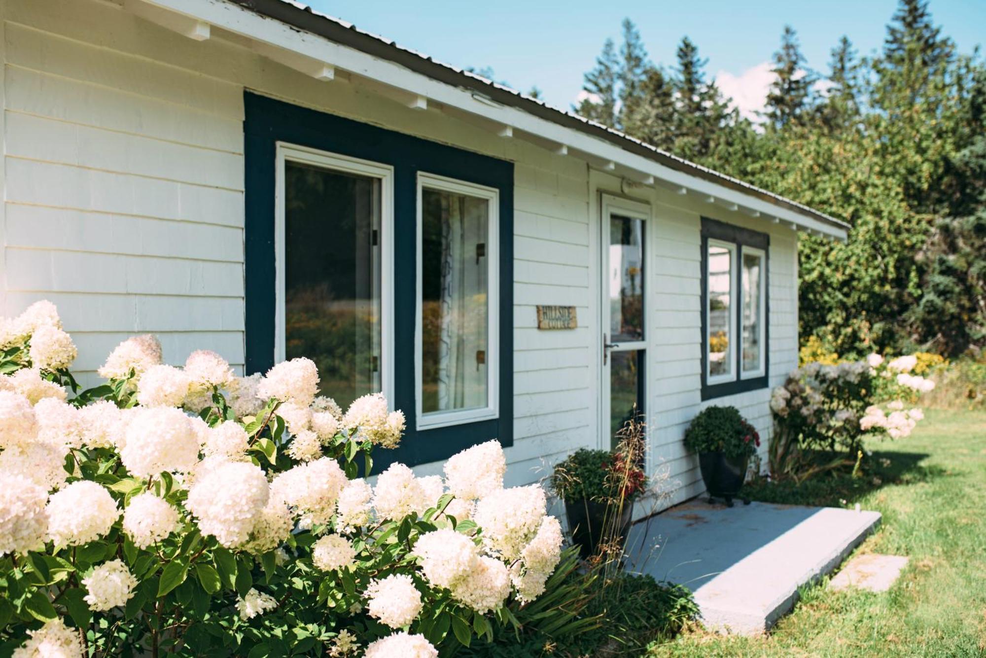 Friars Bay Inn & Cottages Welshpool Rom bilde